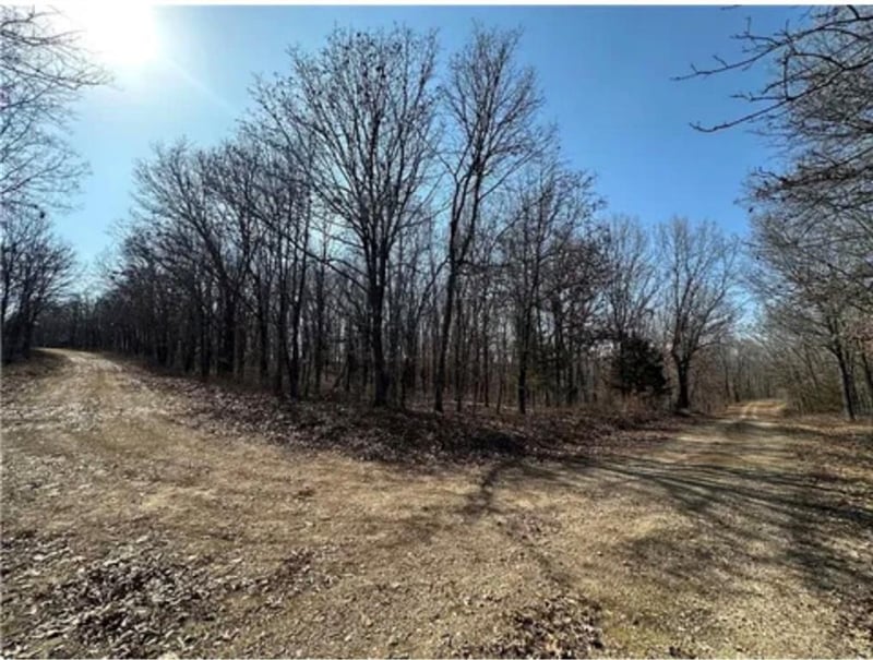 Rolfs Pl, Edwards, MO 65326