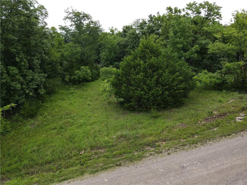 250 Fawn Valley Dr, La Cygne, KS 66040
