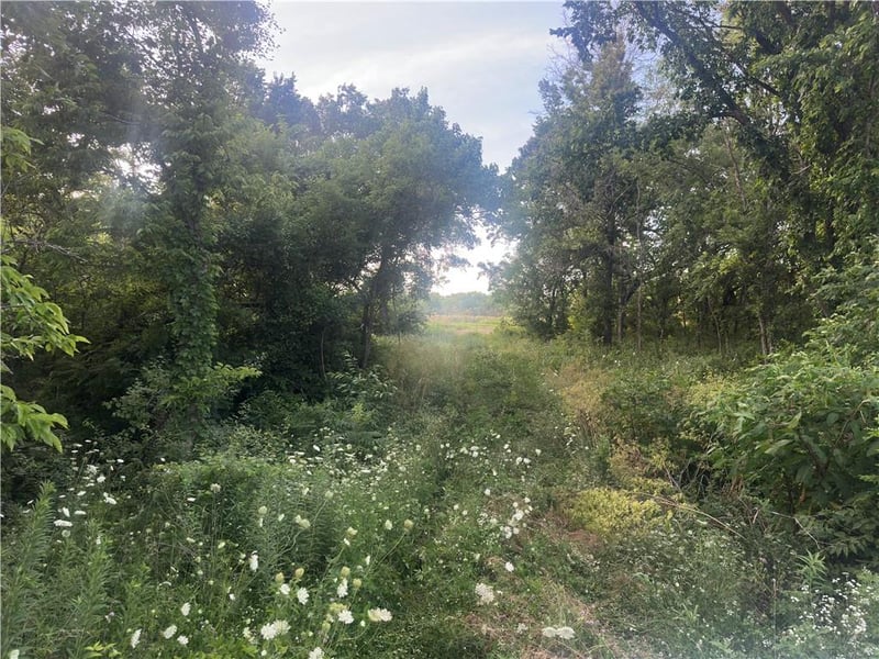 45101 N Hw, Creighton, MO 64739