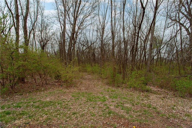 802 Willow Ridge Dr, Blue Springs, MO 64014