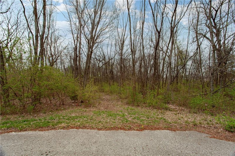 802 Willow Ridge Dr, Blue Springs, MO 64014