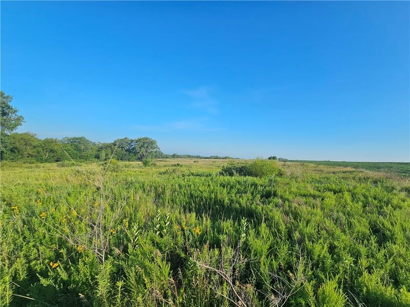 tbd 160th St, Elmo, MO 64445