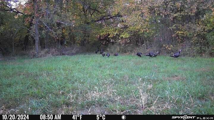 400 1601st Rd, Kingsville, MO 64061
