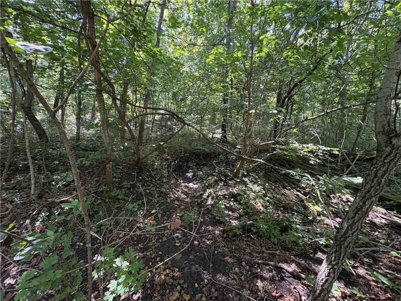 Locust Dr, Mound City, KS 66056