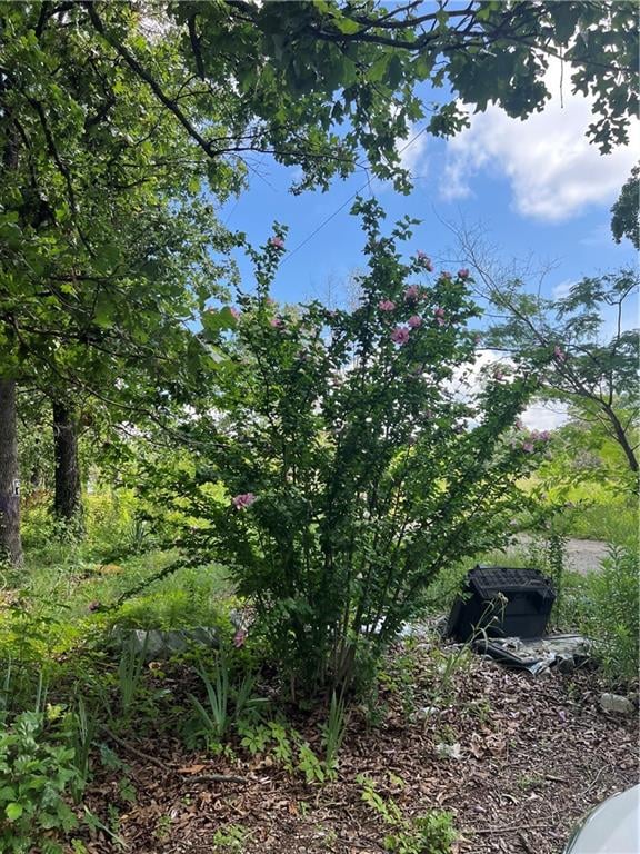 647 185 Pvt Rd, Osceola, MO 64776
