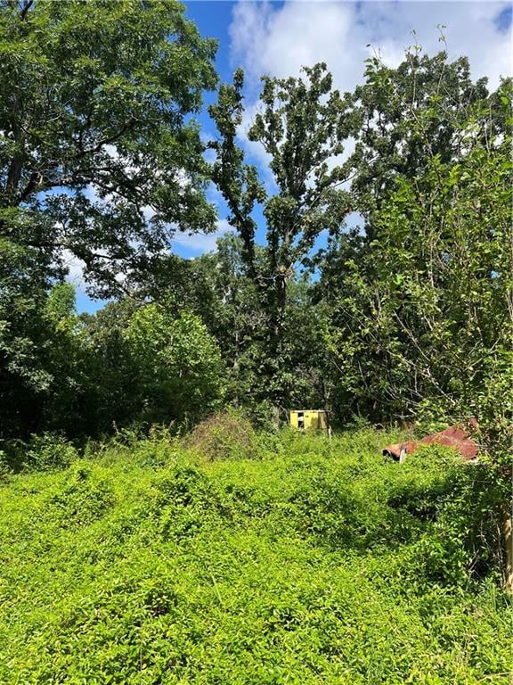 647 185 Pvt Rd, Osceola, MO 64776