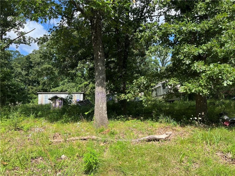 647 185 Pvt Rd, Osceola, MO 64776