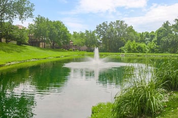 7815 N Revere Dr, Kansas City, MO 64151