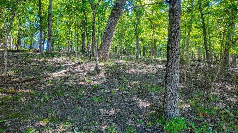 Grand Cove Rd, Sunrise Beach, MO 65079