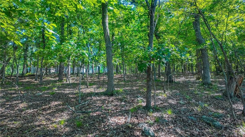 Grand Cove Rd, Sunrise Beach, MO 65079
