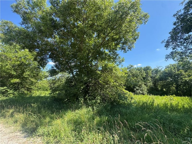 Fishing River Rd, Excelsior Springs, MO 64024