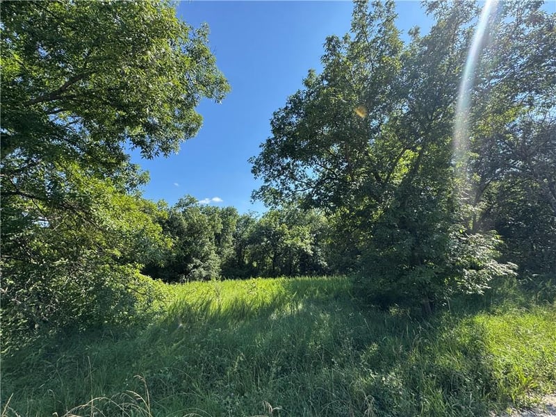 Fishing River Rd, Excelsior Springs, MO 64024