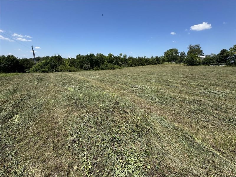 tbd 251 Rd, Warrensburg, MO 64093