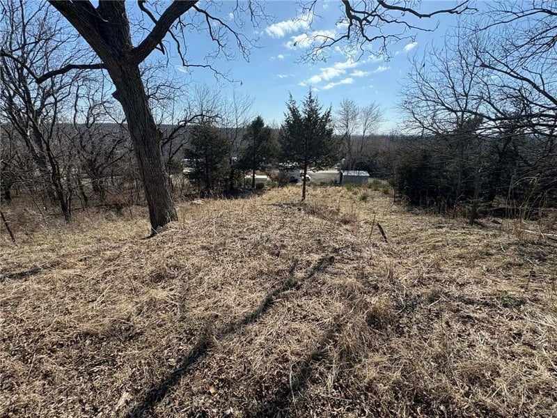 38 Cedar Dr, Linn Valley, KS 66040