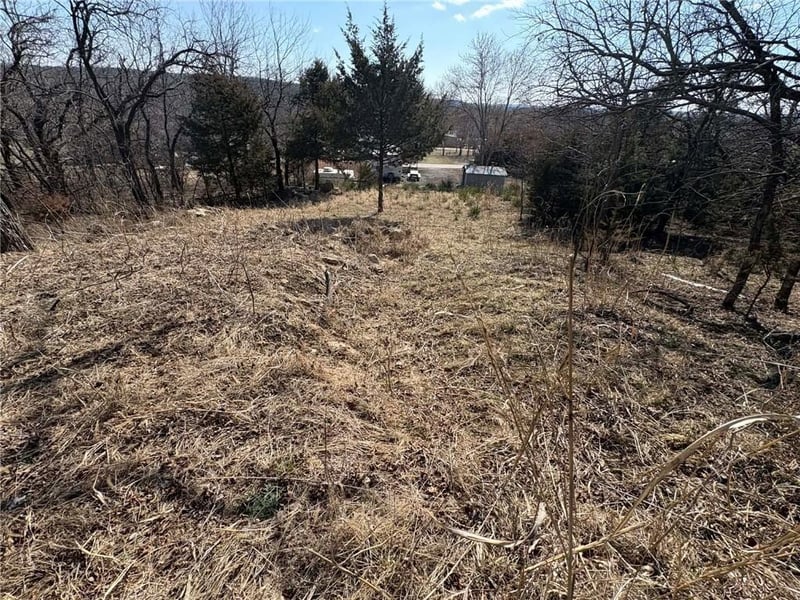 38 Cedar Dr, Linn Valley, KS 66040