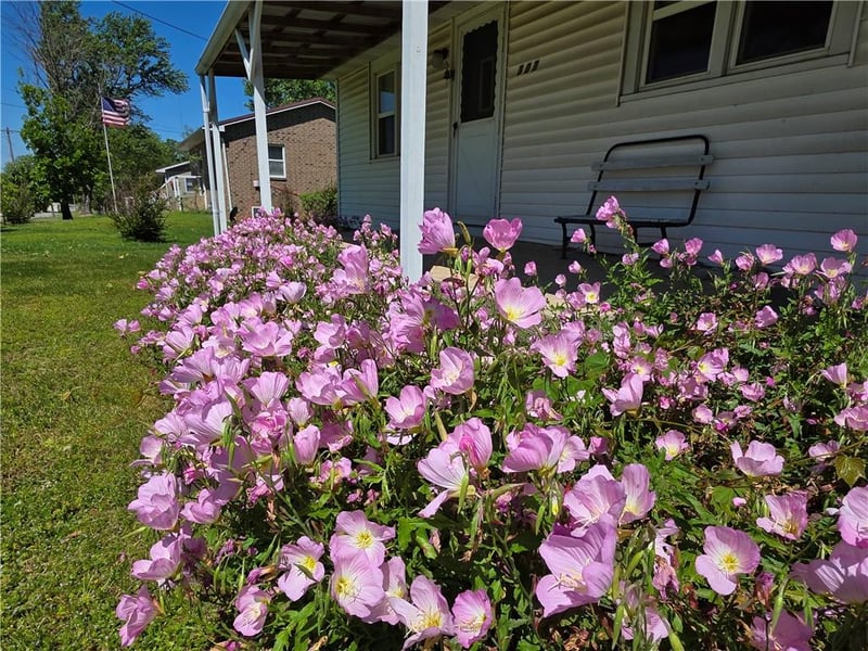 307 Carman Rd, El Dorado Springs, MO 64744
