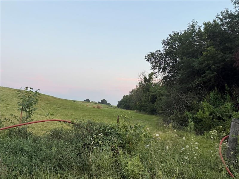 5612 Texas Prairie Rd, Odessa, MO 64076