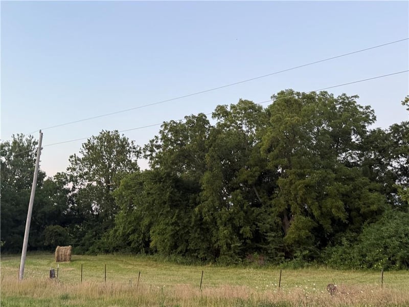 5612 Texas Prairie Rd, Odessa, MO 64076