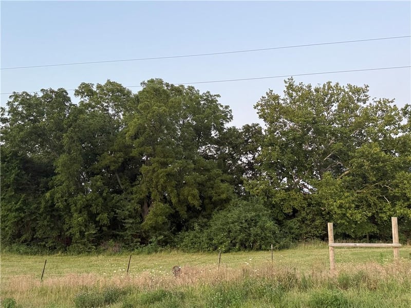 5216 Texas Prairie B Rd, Odessa, MO 64076