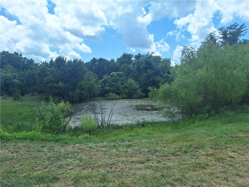 Tract C Sycamore Grove Rd, Garden City, MO 64747