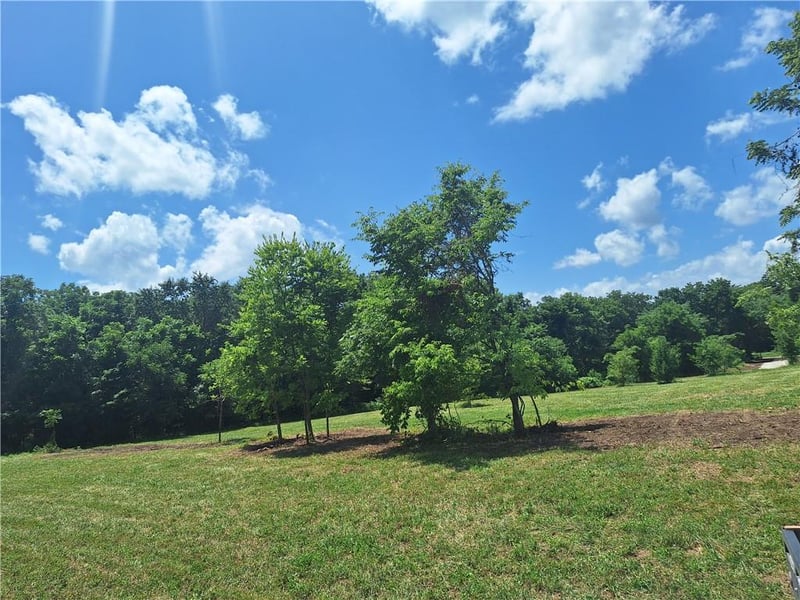 Tract D Sycamore Grove Rd, Garden City, MO 64747