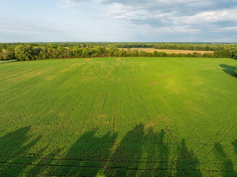 TBD 500th Rd, Warrensburg, MO 64093