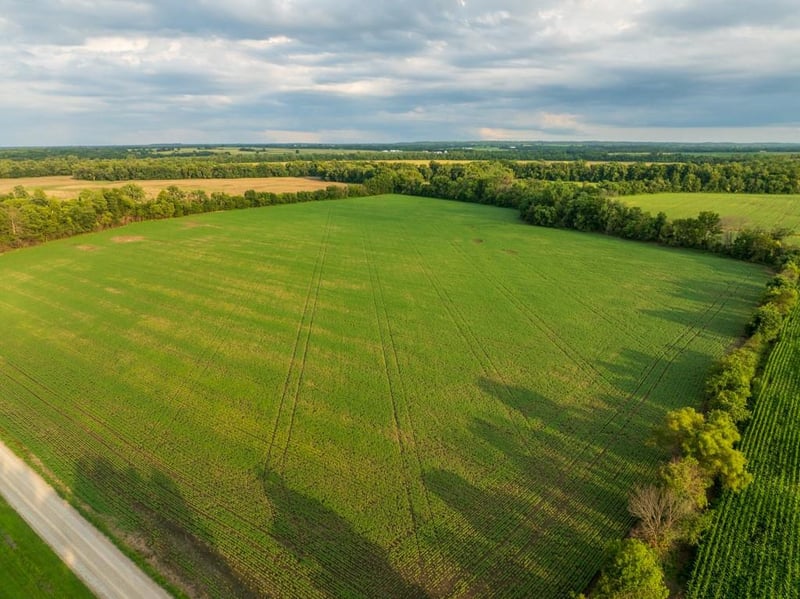 TBD 500th Rd, Warrensburg, MO 64093