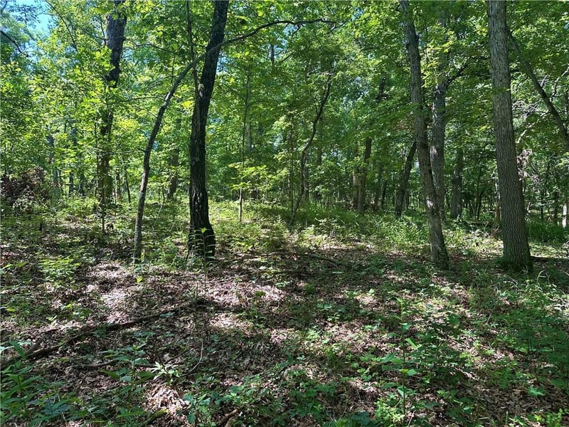 Ervin Ln, Warsaw, MO 65355