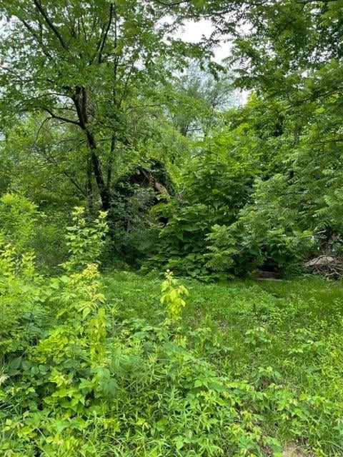 Wall St, Altamont, MO 64620