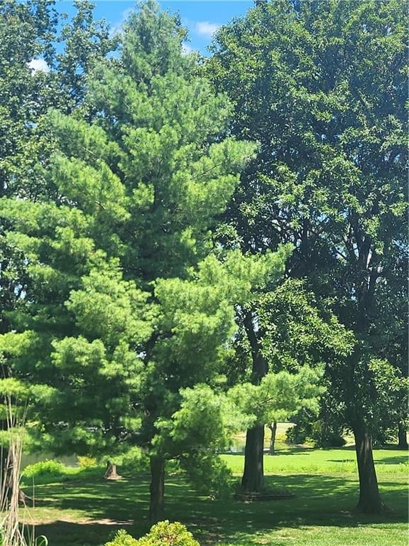 822 Lighthouse Point, Lee's Summit, MO 64082