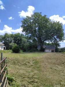 2539 Agnes Ave, Kansas City, MO 64127