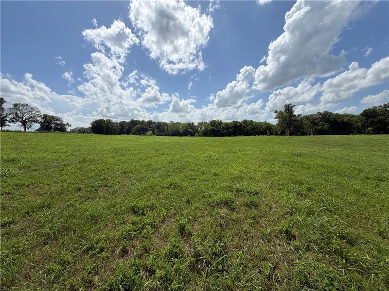 15749 206th St, Tonganoxie, KS 66086