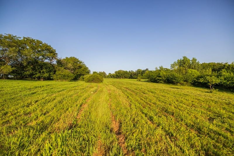 Famuliner Rd, Garden City, MO 64747