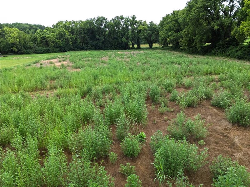 21201 Blue Mills Rd, Independence, MO 64058