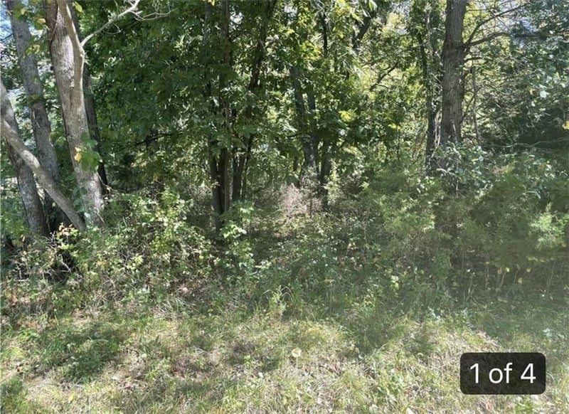 Lot 2701 Fox Rd, Altamont, MO 64620