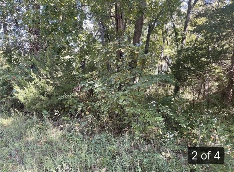 Lot 2701 Fox Rd, Altamont, MO 64620