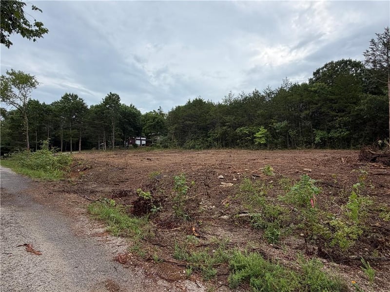 278 Millwood St, Shell Knob, MO 65747