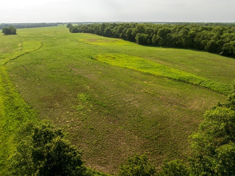Cr 330 Rd, Hale, MO 64643