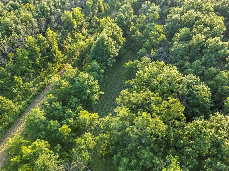 S 600 Rd, Richards, MO 64778