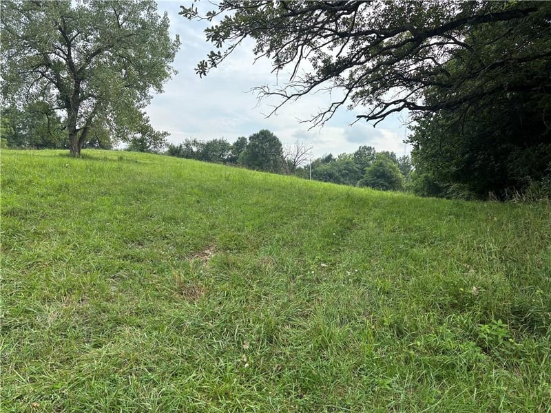 Lot 1049 Lake Viking Ter, Gallatin, MO 64640