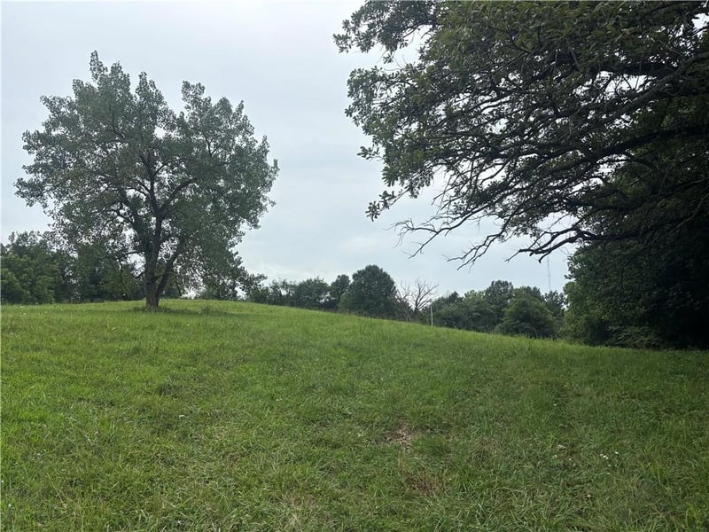 Lot 1049 Lake Viking Ter, Gallatin, MO 64640