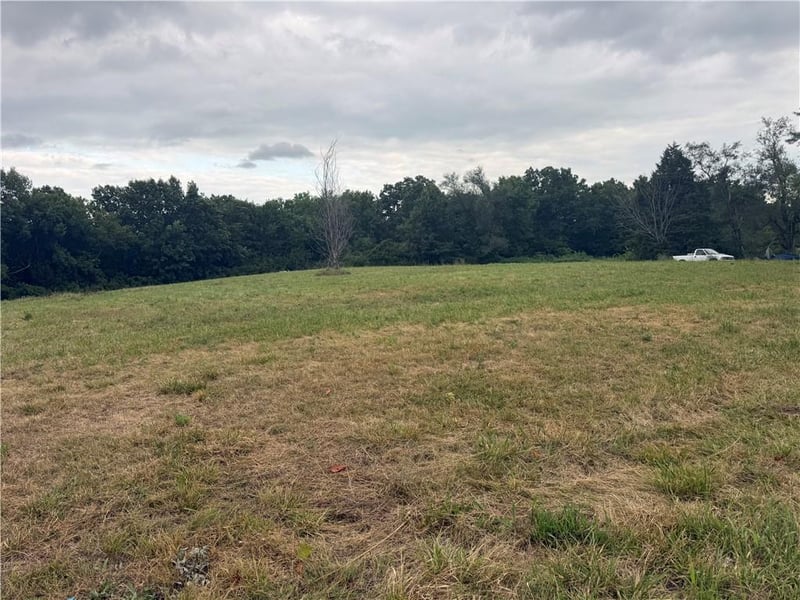 Klatt Rd, Excelsior Springs, MO 64024