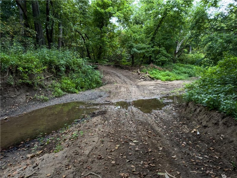 Fire Branch Rd, Rayville, MO 64084