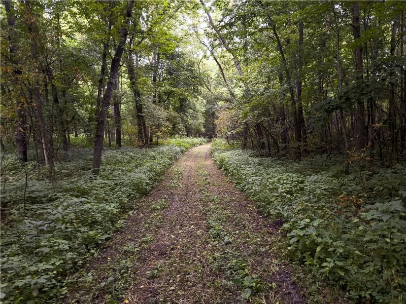 Fire Branch Rd, Rayville, MO 64084