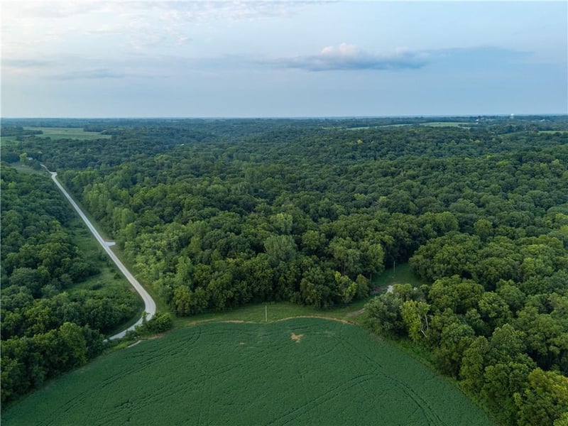 Fire Branch Rd, Rayville, MO 64084