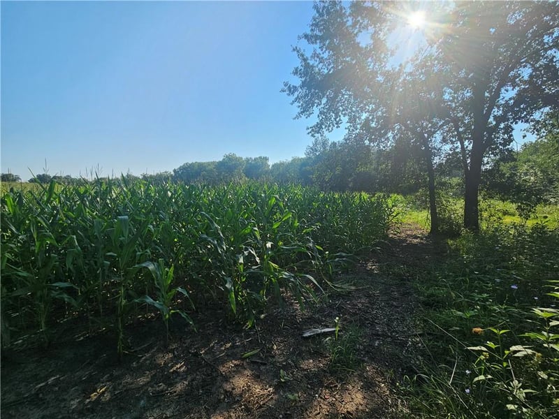 Adams Rd, Maysville, MO 64469