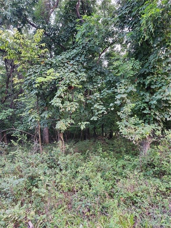 166 Sycamore Dr, Linn Valley, KS 66040