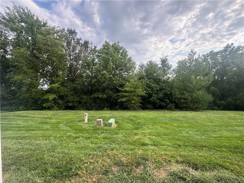 4435 NE 83rd St, Kansas City, MO 64119