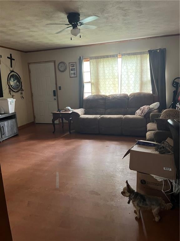 417 Main St, Butler, MO 64730