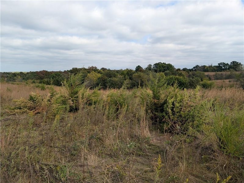 E 280th St, Ridgeway, MO 64481